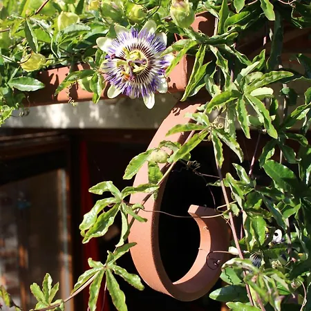 Casa de Férias L'ecurie *